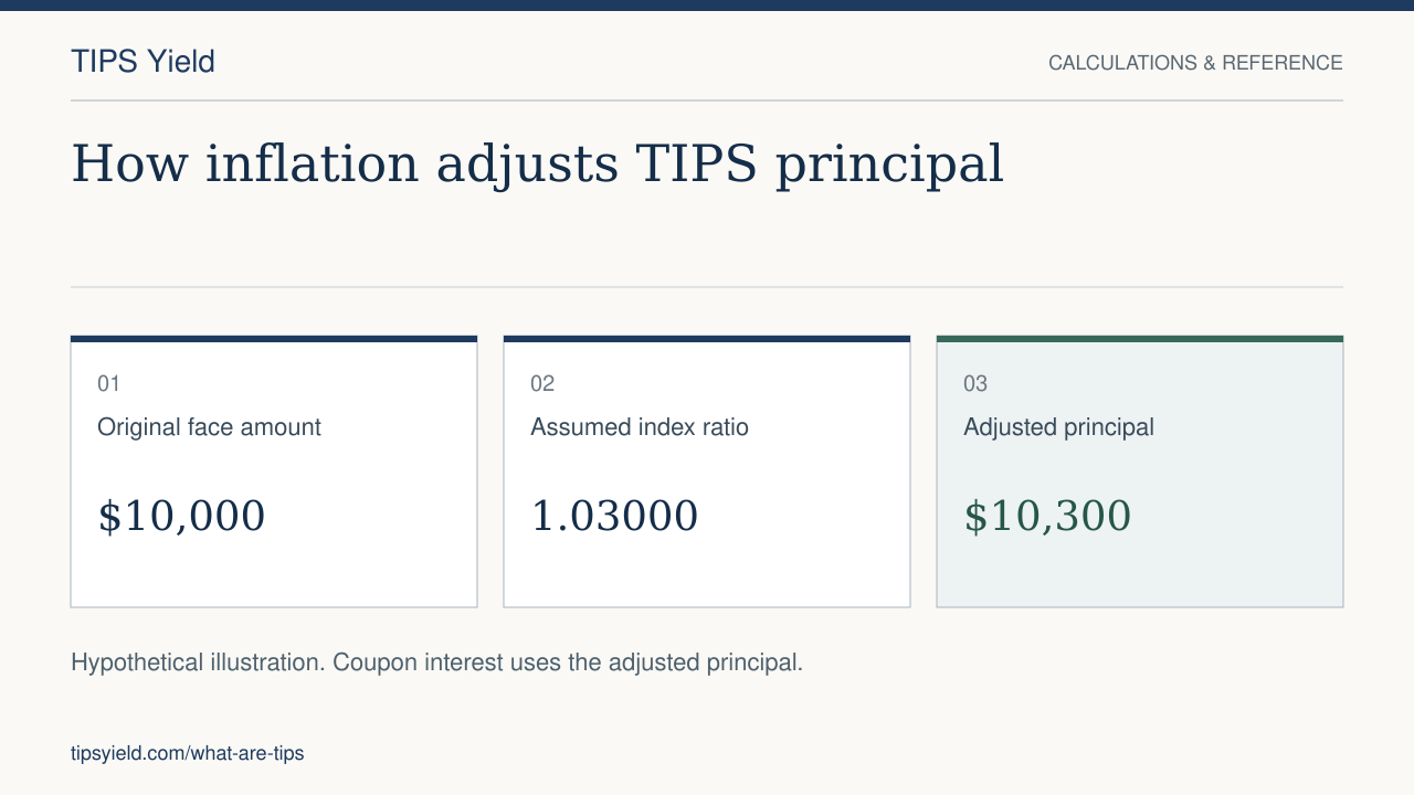 How inflation adjusts TIPS principal. Original face amount: $10,000. Assumed index ratio: 1.03000. Adjusted principal: $10,300. Hypothetical illustration. Coupon interest uses the adjusted principal.